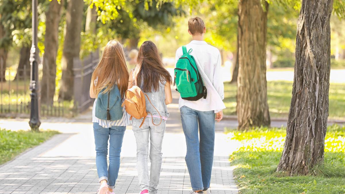 posibilele-schimbari-la-examenul-de-a-viii-a-starnesc-reactii-diverse-in-randul-elevilor-in-sfarsit-se-gandeste-cineva-si-la-noi--e-prea-mult-noi-copiii-trebuie-ne-relaxam-mai-mult_55612600