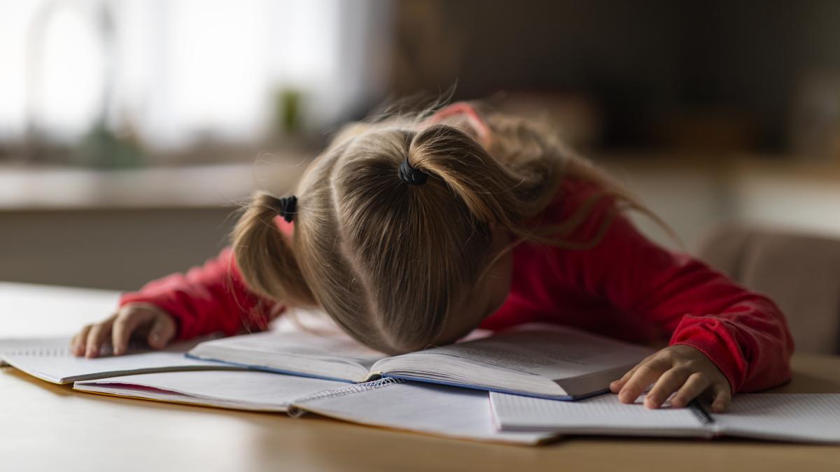 ministrul-daniel-david-anunta-limite-clare-pentru-temele-elevilor-cate-ore-pe-zi-ar-trebui-sa-petreaca-copiii-din-scolile-primare--gimnaziale-si-liceale-facand-teme_63401400