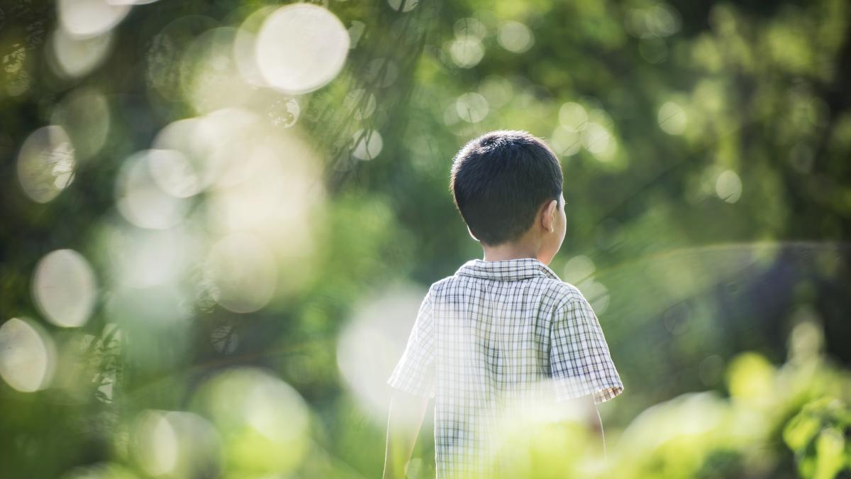 victorie-legala-pentru-un-fiu-pacalit-de-parinti-sa-se-mute-in-africa--baiatul-a-declarat-ca-se-simte-de-parca-ar-e2809etrai-in-iade2809d_49879100