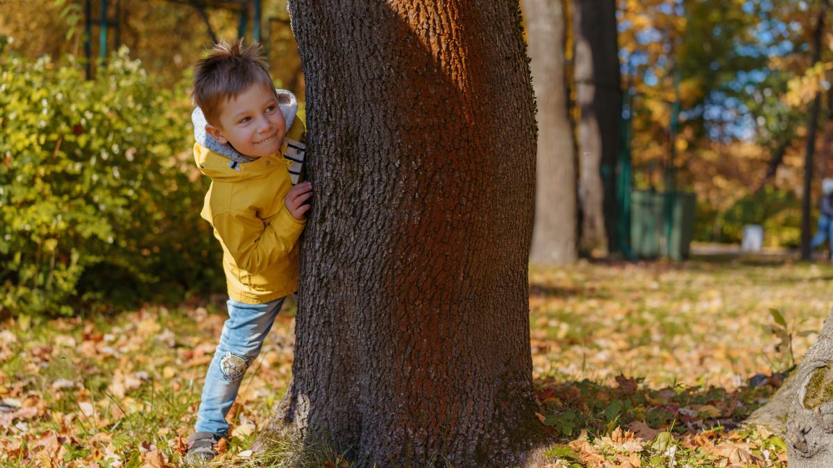 de-la-jocul-de-a-v-ati-ascunselea-la-povestile-cu-lupi-psihologia-explica-de-ce-copiilor-le-place-sa-le-fie-frica-atunci-cand-se-joaca_33242800