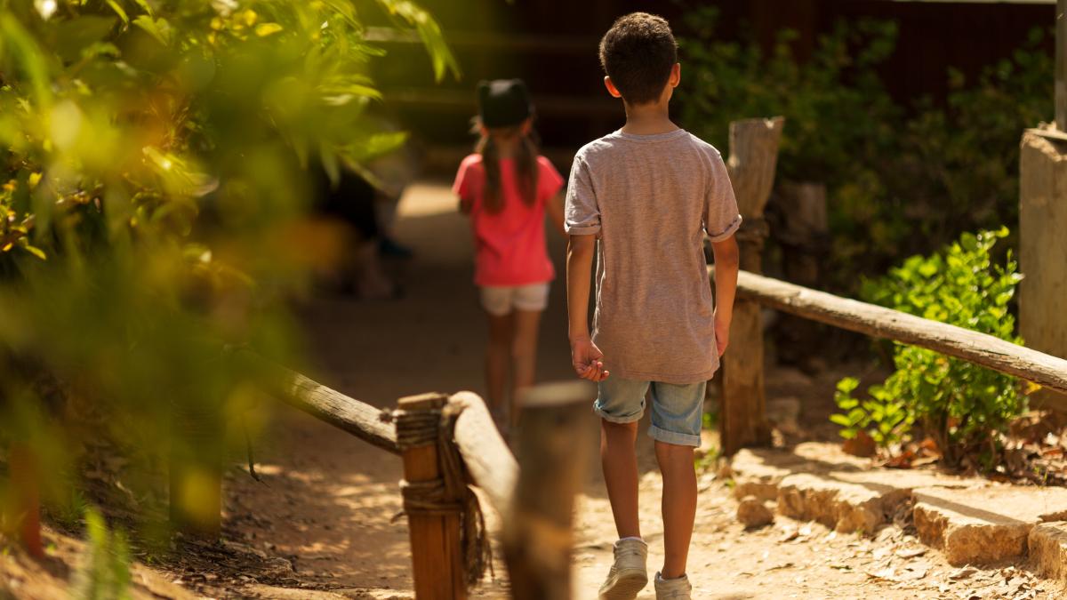 doi-frati-din-arad-au-obtinut-un-ordin-de-protectie-impotriva-ambilor-parinti-erau-tinuti-departe-de-scoala-infometati-si-agresati-in-mod-repetat_11207000