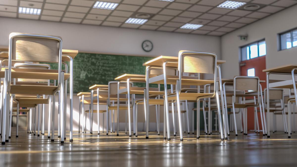 ministerul-educatiei-deschide-inscrierile-pentru-scolile-pilot-din-anul-scolar-2025e280932026--daniel-david-sistemul-romanesc-de-educatie-are-nevoie-de-schimbari-paradigmatice_42774400