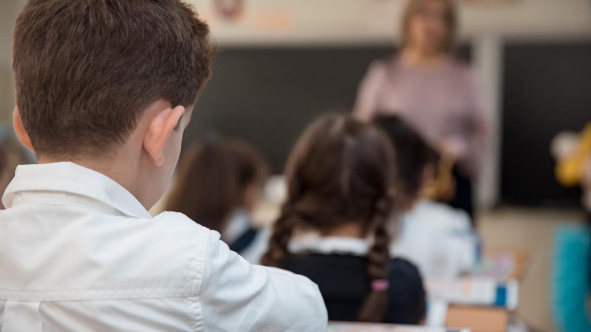 profesorii-protesteaza-astazi-in-toata-tara-sindicatele-anunta-actiuni-masive-daca-guvernul-loveste-din-nou-in-educatie_56268000