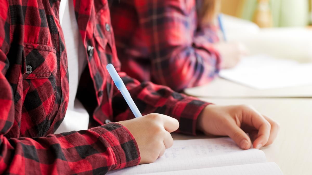 media-la-bac-2025-cum-se-calculeaza--ce-note-trebuie-sa-iei-la-fiecare-proba-si-in-ce-conditii-esti-declarat-promovat_25670500