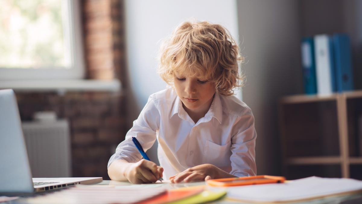 cum-iti-ajuti-copilul-sa-si-descopere-propriul-drum-spre-excelenta-andrada-faina-sa-l-invatam-sa-si-lege-valorile-inalte-de-invatat_77155200