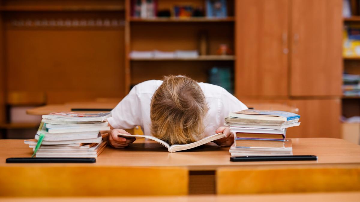 aerisiti-programa-scolara-strigatul-amar-al-unei-profesoare-romance-mi-ar-fi-placut-sa-aud-altceva-la-conferinta-de-azie280a6_68683700