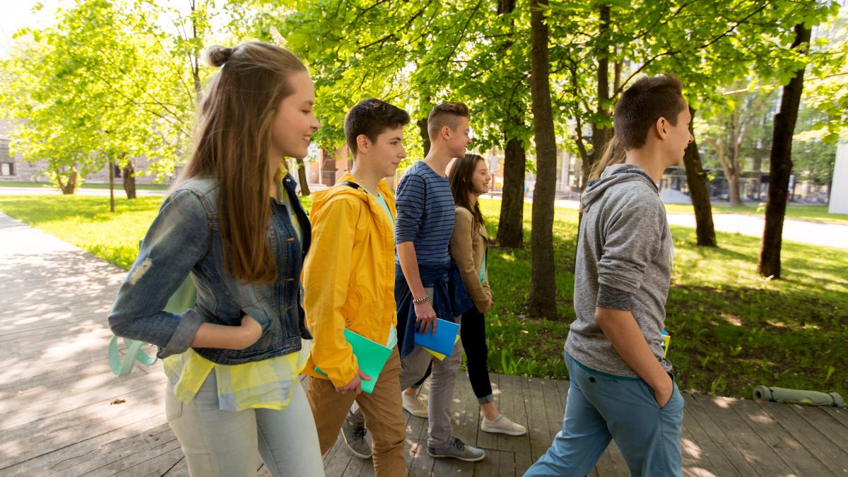 rezultate-finale-bacalaureat-2025-cu-cat-a-crescut-rata-de-promovabilitate-si-cati-elevi-au-obtinut-media-10_03756000