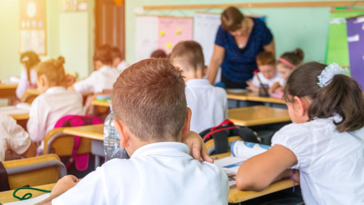 nu-renunt-nu-pentru-voi-apelul-prof--laura-roxana-alexandru-care-dupa-30-de-ani-de-catedra-continua-sa-lupte-impotriva-bataliei-nevazute-a-dascalilor-sfasiati-de-nedreptati-si-etichete-2_06380500