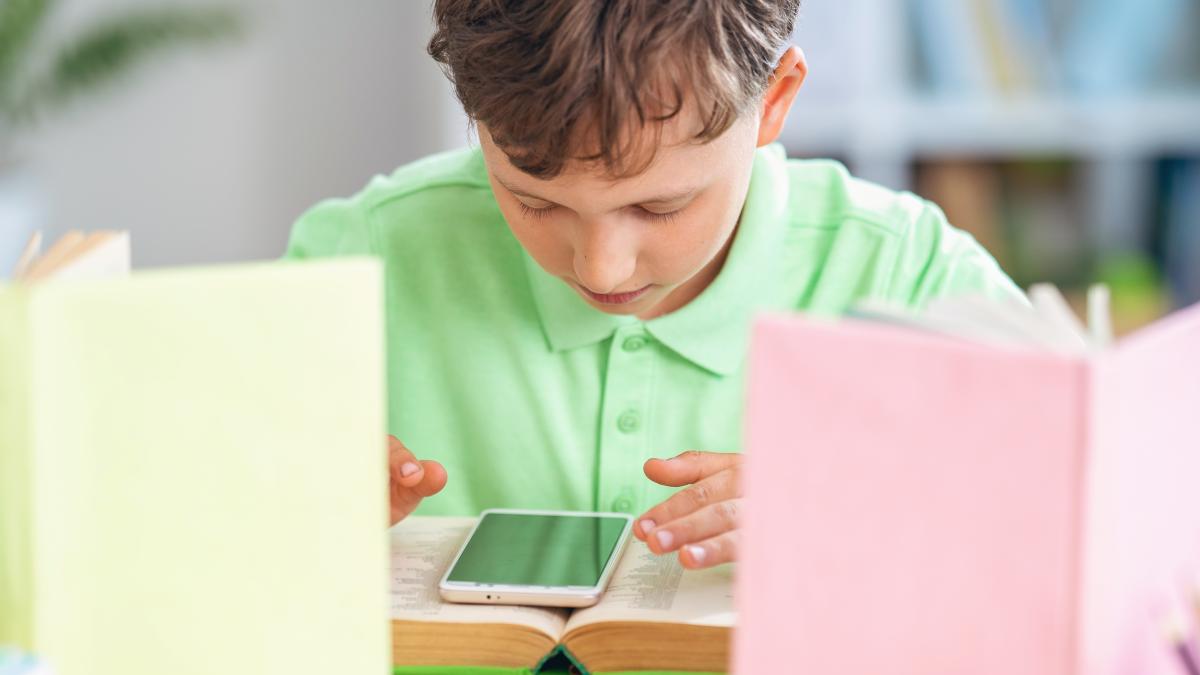 olanda-a-interzis-telefoanele-mobile-in-scoli--dupa-un-an--publica-concluziile-intr-un-raport-al-masurii-care-a-starnit-proteste--ce-au-descoperit-cercetatorii_24424300