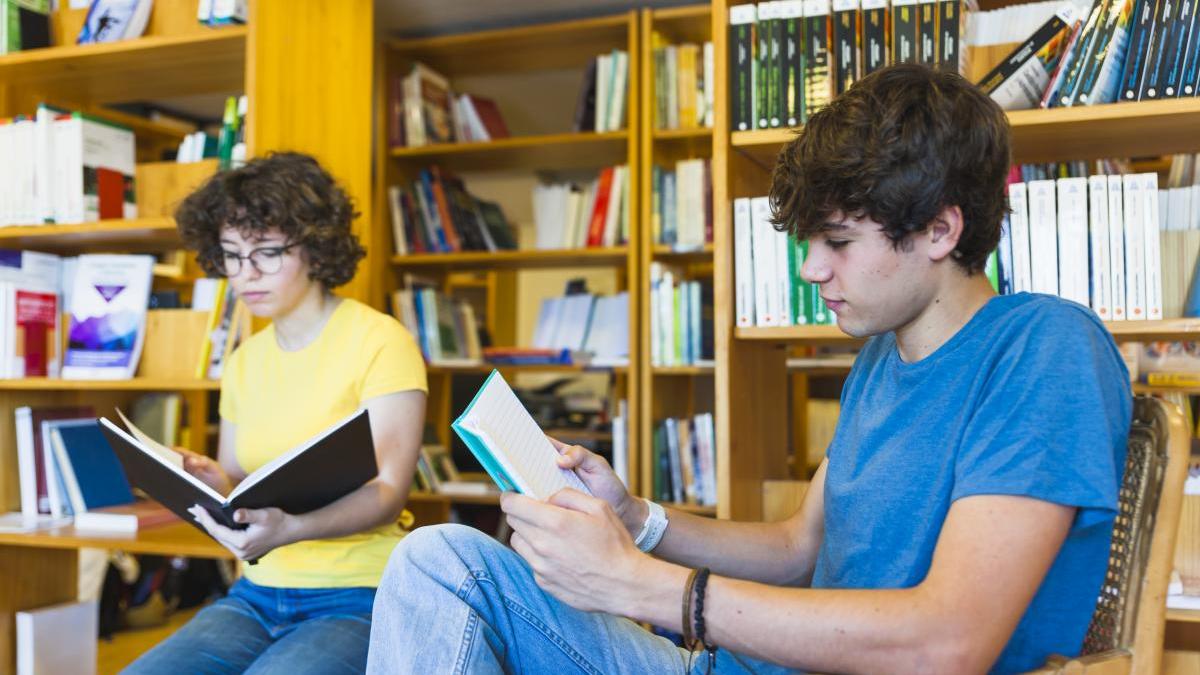 de-ce-limba-romana-trebuie-predata-ca-o-limba-straina-copiilor-din-diaspora-elena-platon-trage-un-semnal-de-alarma_85319600