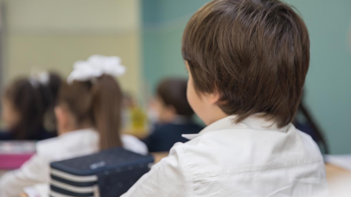 se-schimba-harta-scolilor-din-romania-ce-unitati-dispar-si-cum-se-vor-forma-clasele-incepand-din-septembrie-2025_54489000