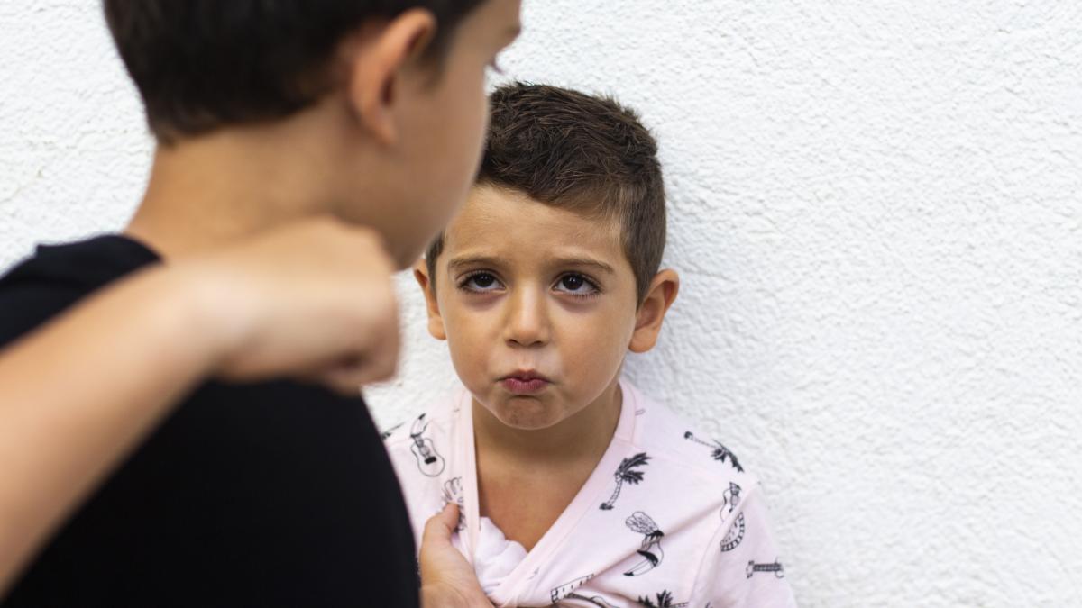 ar-trebui-copilul-sa-riposteze-impotriva-celui-care-face-bullying-un-celebru-psihiatru-explica-ce-trebuie-sa-stie-parintii-acest-comportament-este-pe-deplin-acceptabil_30735200