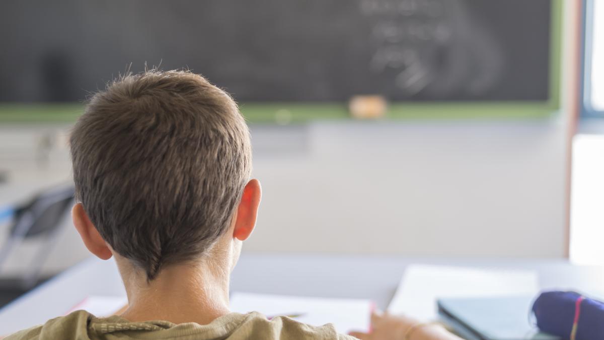 calendarul-evaluarilor-nationale-pentru-clasele-a-ii-a--a-iv-a-si-a-vi-a-in-anul-scolar-2025-2026-proiect_64910500