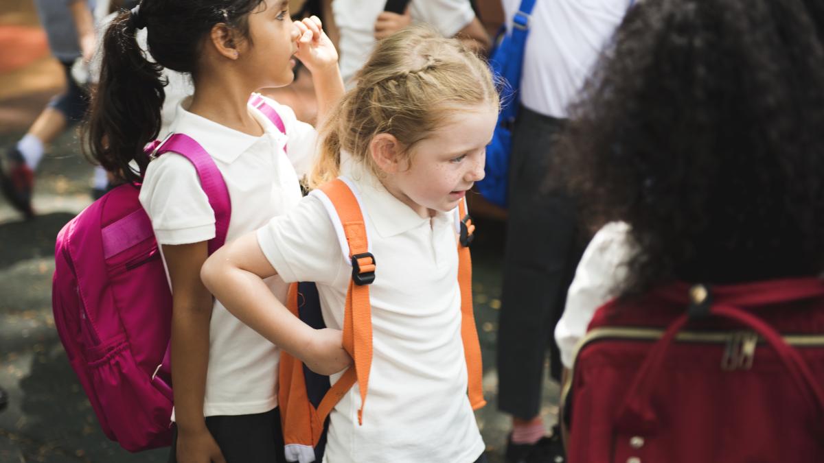 de-la-o-idee-din-strainatate--la-un-proiect-de-succes-in-romania-orasul-in-care-copiii-merg-pe-jos-la-scoala-si-nu-se-mai-formeaza-blocajele-matinale_69436700