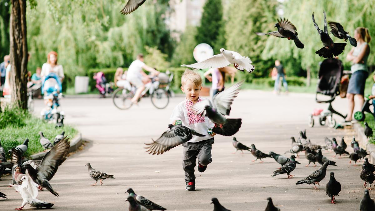 la-35-de-grade-nu-ma-poate-obliga-mama-sa-mananc-mamaliga-cu-ciorba-ca-in-romania-miruna-cajvaneanu-explica-lupta-copiilor-romani-din-italia-cu-dubla-lor-identitate_61086900