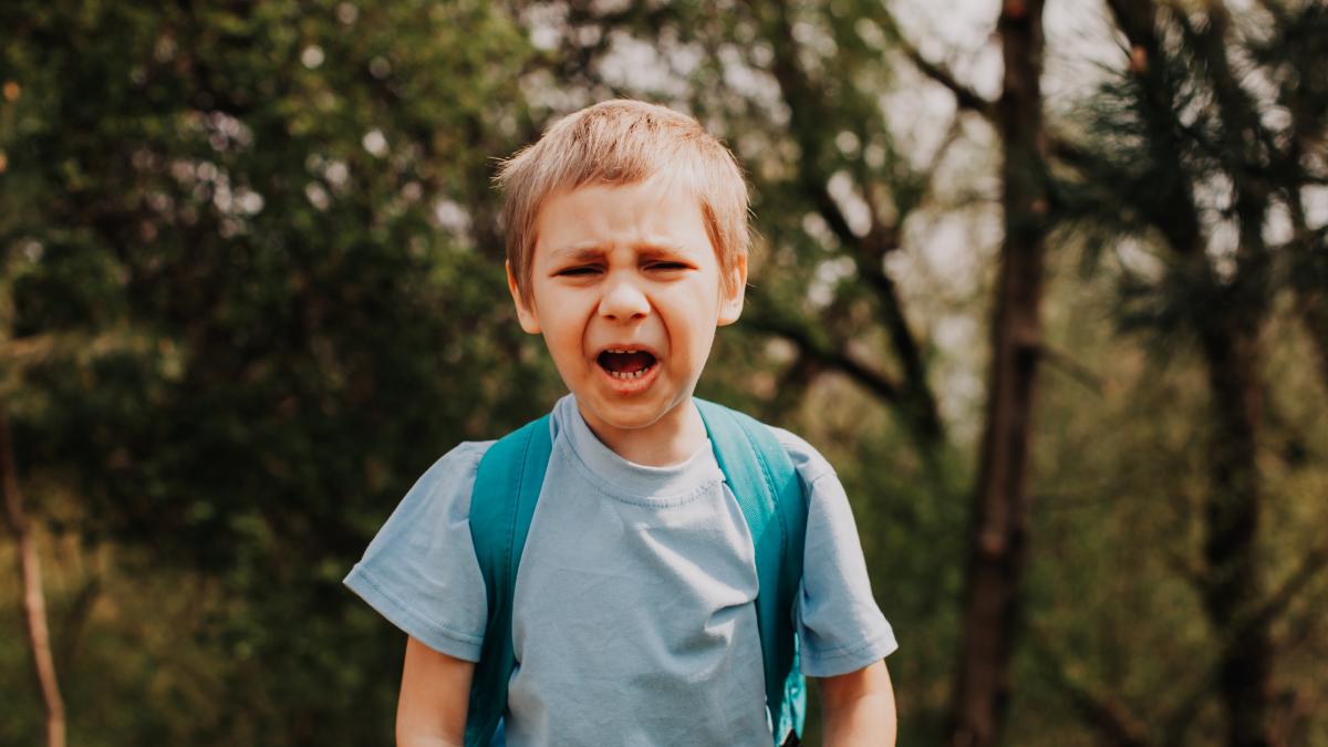 cum-poti-domoli-furia-copilului-prin-respiratie-luiza-ciurlea-asa-cum-il-inveti-sa-mearga-sa-se-spele-pe-dinti--il-poti-invata-si-sa-respire_33103200