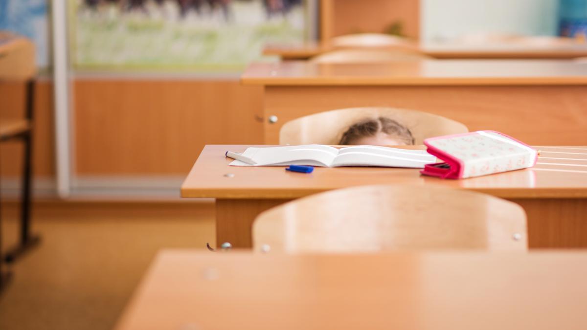 ce-protocoale-exista-in-caz-de-atac-armat-sau-alerta-aeriana-intr-o-scoala-din-romania-zeno-daniel-sustac-halucinant-raspunsul-ministerului-educatiei_80591000