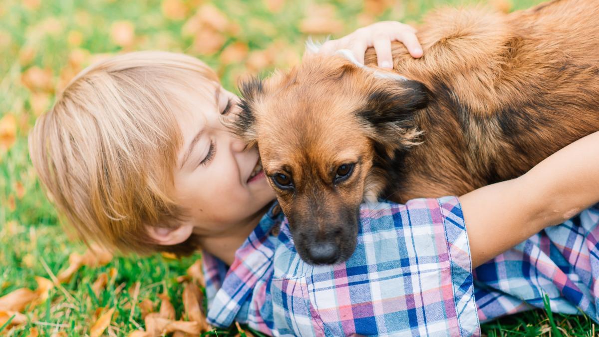 cercetatorii-au-descoperit-ceva-neasteptat-ce-diferente-reale-exista-intre-copiii-care-cresc-cu-caini-si-cei-care-cresc-cu-pisici-care-este-alegerea-mai-buna-pentru-sanatatea-micutului_45978800