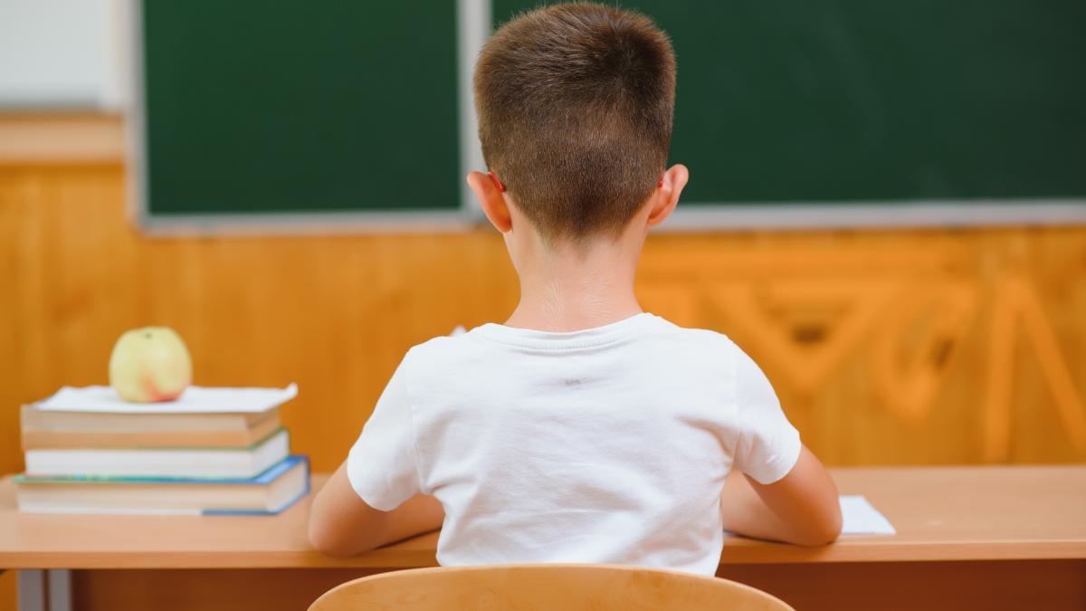 analiza-devastatoare-a-profesorului-sorin-costreie-asupra-esecului-sistemului-educational-de-a-pregati-elevii-pentru-lumea-reala-este-ceva-cumplit_75390500