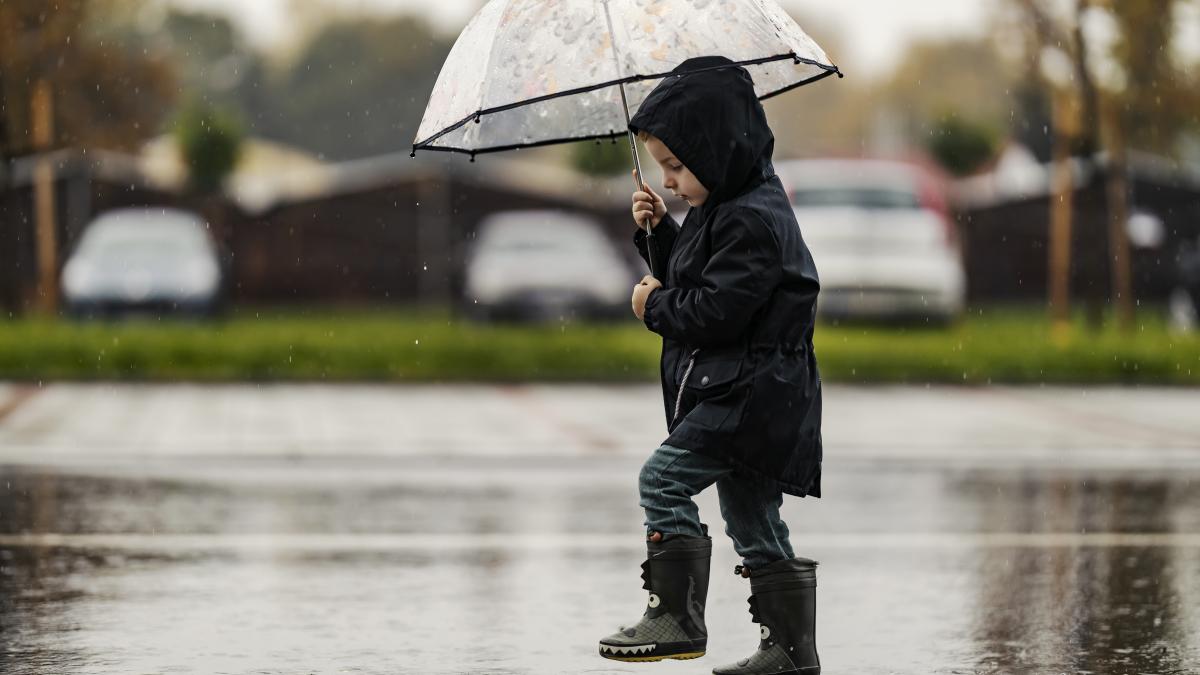 decizie-de-ultim-moment-inca-un-judet-inchide-scolile-si-gradinitele-din-cauza-codului-rosu-de-ploi-torentiale-sunt-patru-pana-acum_22414900