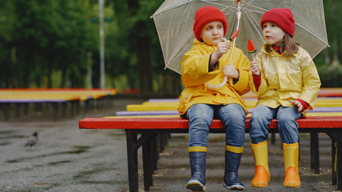 peste-550-000-de-elevi-din-bucuresti-si-5-judete-stau-acasa-miercuri--din-cauza-codului-rosu-de-furtuna_24143300