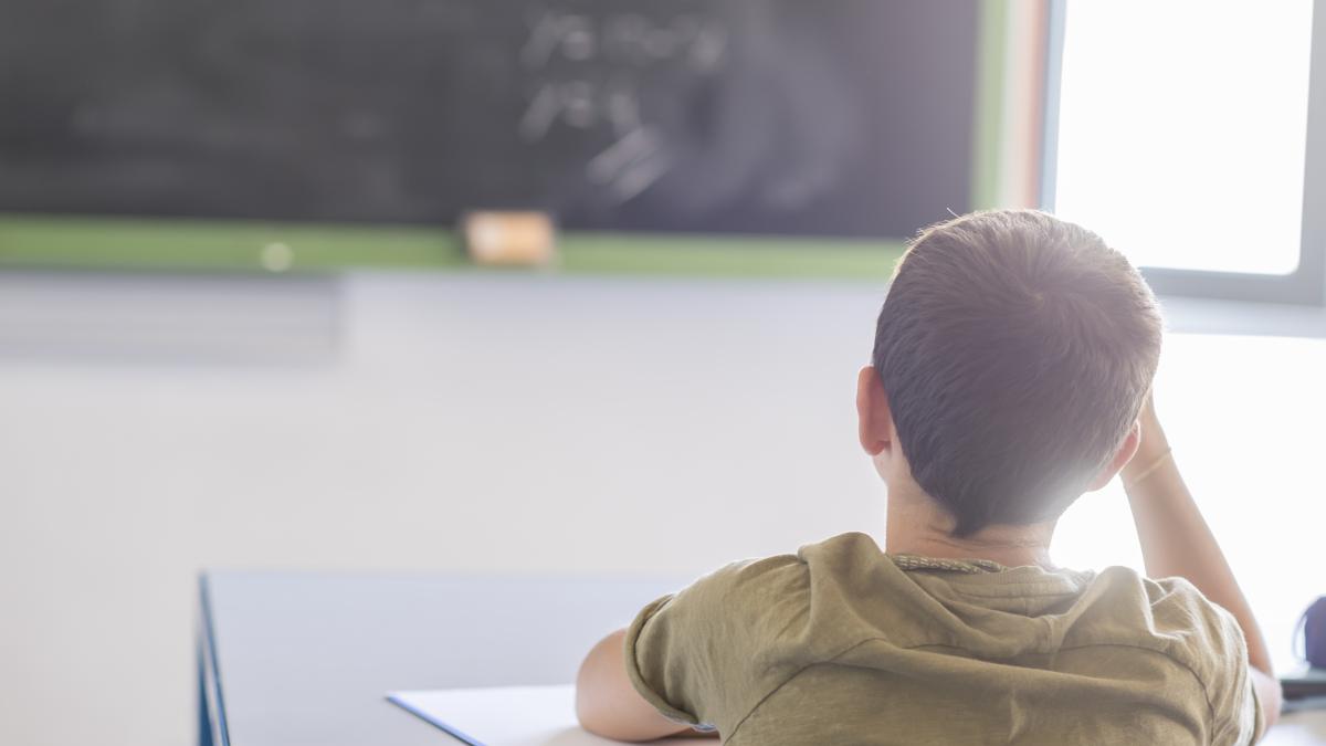 prof-claudia-chiru-despre-realitatea-copiilor-cu-ces-asta-trebuie-sa-schimbam-noi-toti-cum-scoala-si-parintii-trebuie-sa-renunte-la-etichete-si-sa-ofere-empatie-si-sprijin-concret_42327000