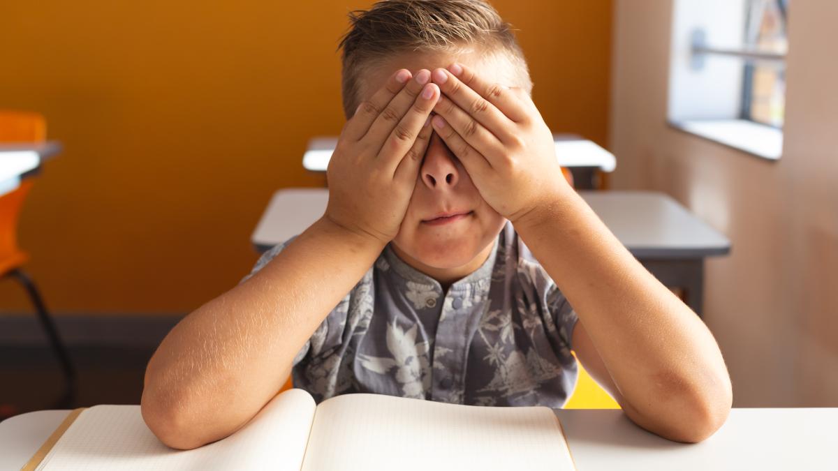 parintele-poate-alege-daca-declara-copilul-cu-ces-sau-nu--legea-nu-il-obliga-prof-claudia-chiru-atrage-atentia-elevii-atipici-sunt-integrati-fortat-nu-avem-spatii-nu-avem-sprijin_24956500