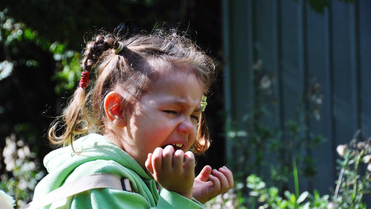 educator-montessori-adevaratul-motiv-pentru-care-copilul-tau-face-crize-de-nervi-degeaba-si-metoda-care-il-ajuta-sa-se-calmeze-singur_66667500