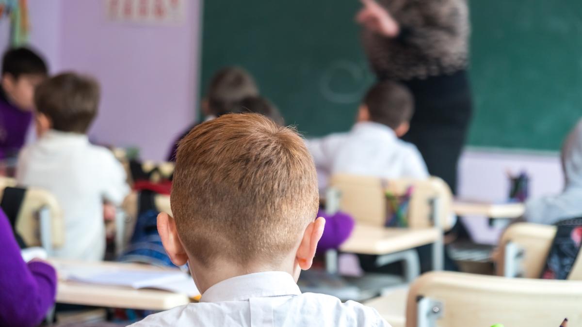 clasele-a-vi-a-si-a-vii-a-vor-deveni-o-singura-clasa-parintii-protesteaza-impotriva-comasarii-scolilor--iar-profesorii-avertizeaza-nu-sunt-beneficii_19544600