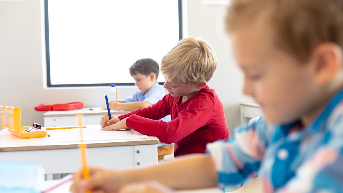 elevii-cu-dificultati-de-invatare-nu-sunt-mai-putin-inteligenti-atrage-atentia-un-consilier-educational-ce-trebuie-sa-stie-parintii-si-profesorii_93508500