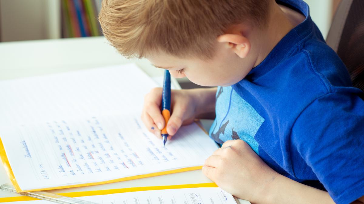 creierul-copilului-in-scoala-primara-se-afla-intr-un-stadiu-in-care-inca-mai-face-25prc--30prc--eroare-pe-pagina-chiar-daca-el-stie-oana-moraru-explica-de-ce-elevul-din-primar-greseste-chiar-daca-stie_43876500