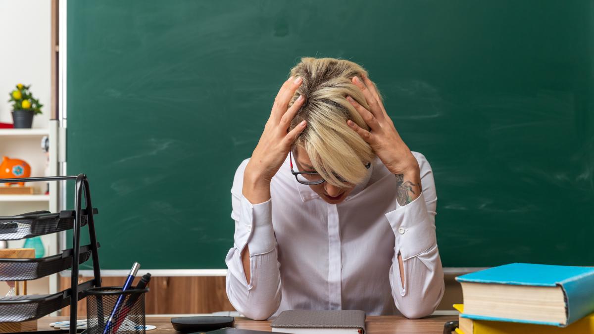 ministrul-educatiei-e2809esuntem-inca-in-criza--nu-putem-introduce-sporuri-de-strese2809d_02844800