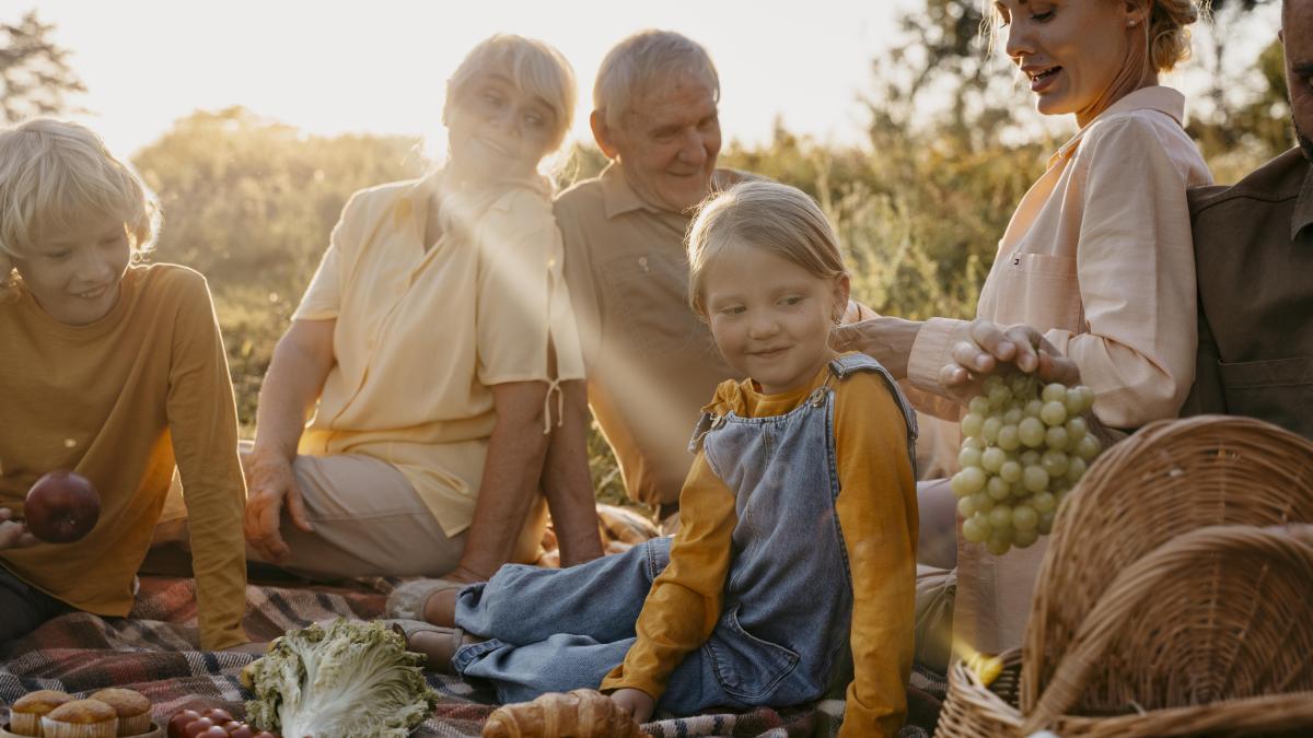 copii-parinti-bunici3dpicnic-natura_36044600