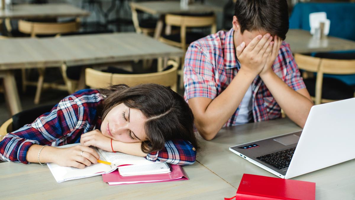 conf--univ--dr--florentina-samihaian--despre-programa-de-limba-si-literatura-romana-e2809edaca-intri-in-clasa-a-ix-a-cu-o-asemenea-propunere-ii-faci-sa-nu-mai-fie-interesati-de-domeniue2809d_72162600