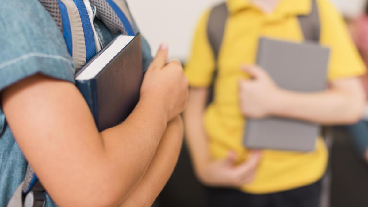 care-este-problema-programei-scolare-la-limba-si-literatura-romana--acestea-sunt-lucrurile-care-ii-lipsesc_00297200