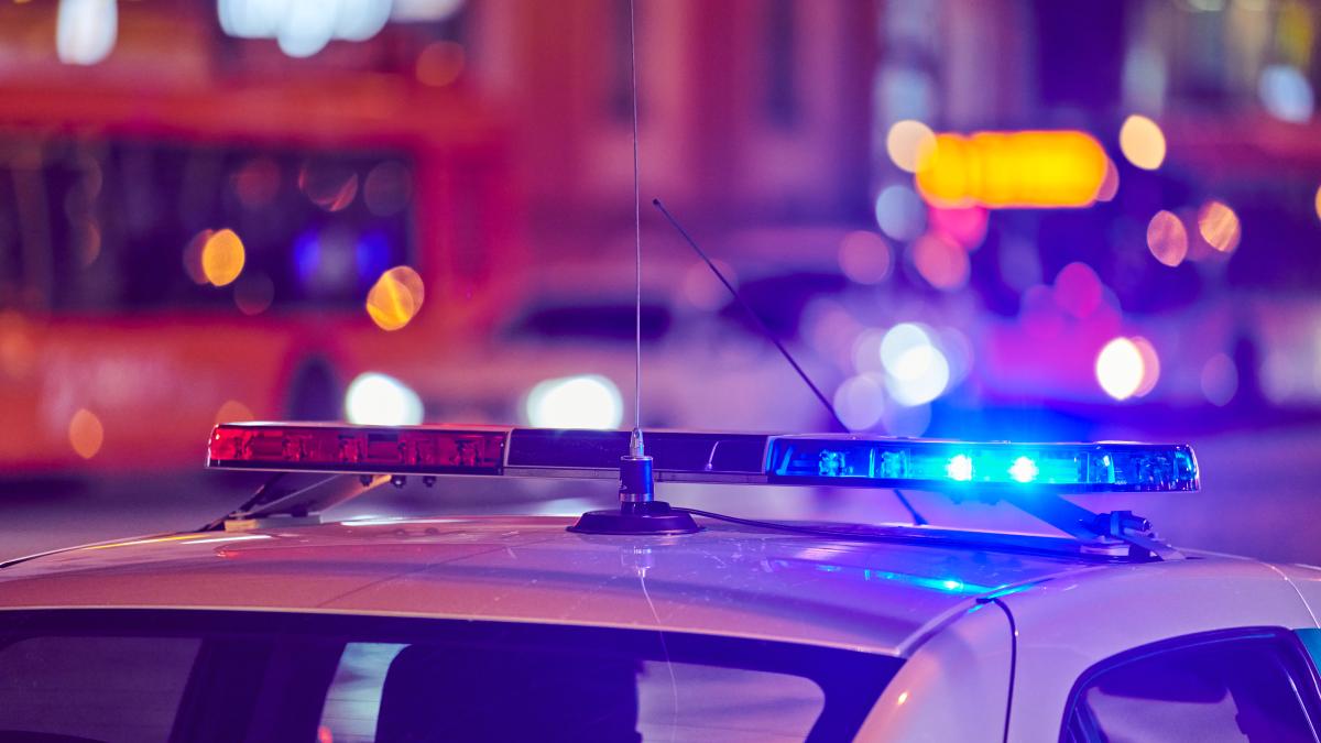 copil-de-patru-ani--rapit-de-pe-un-gardul-casei--incidentul-care-a-alertat-politia-din-cinci-judete_28079300