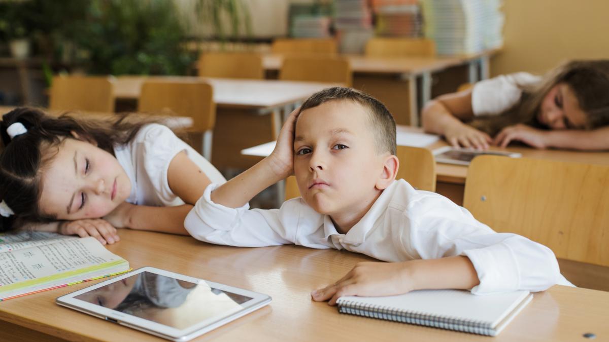 cine-a-hotarat-ca-scoala-trebuie-sa-inceapa-atat-de-devreme-programul-matinal-al-elevilor--dictat-de-istorie--munca-si-o-idee-invechita-despre-productivitate_50419200