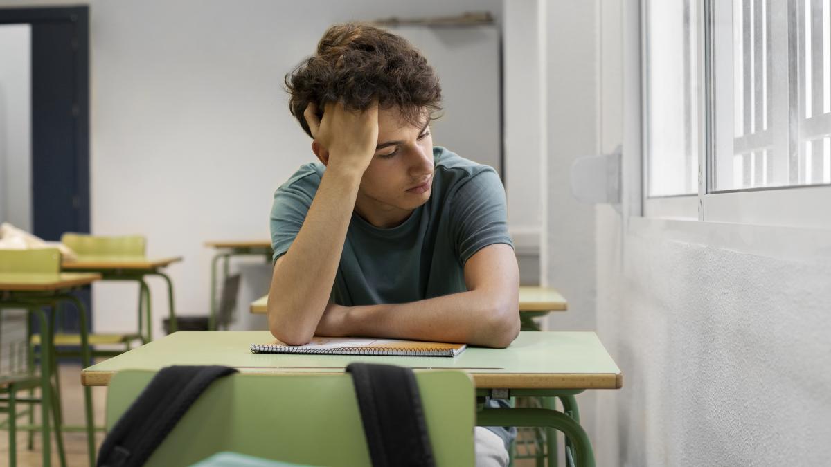 „Elefantul din cameră pentru școala din România”. Cristina Gemanaru trage un semnal de alarmă „Ei între ei se numesc «prăjiți»” / FOTO ILUSTRATIV: freepik.com @freepik