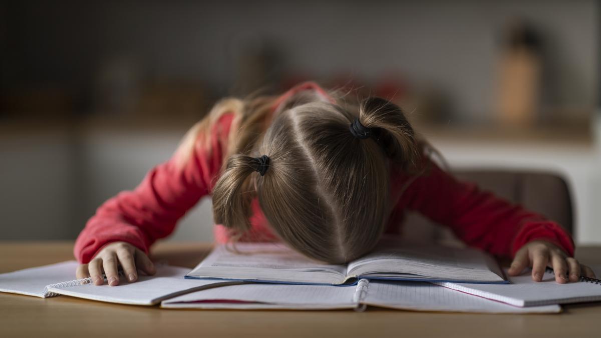 Copilul meu nu vrea să învețe Tehnici de studiu foarte eficiente care îl ajută pe elev să fie mai atent, mai motivat / FOTO: freepik.com @prostock-studio