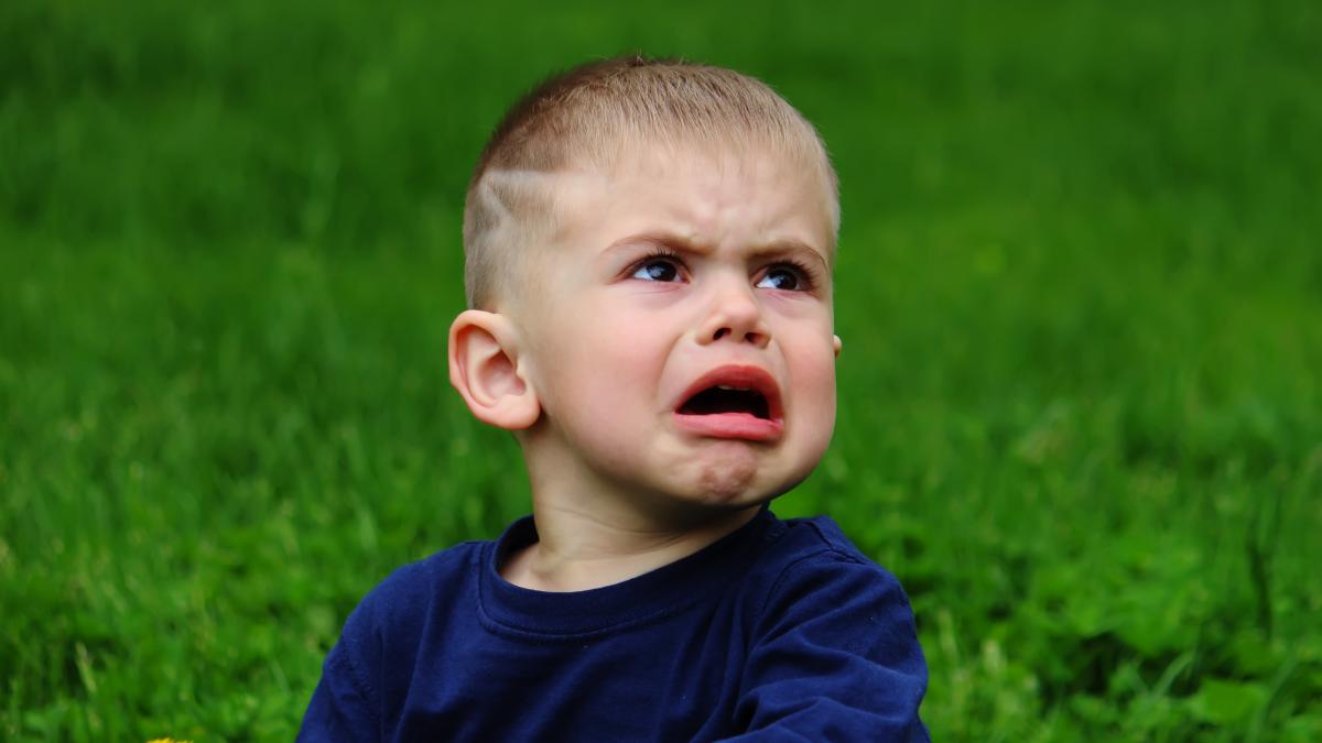 Când copilul are un tantrum, fă aceste patru lucruri, spune un expert în parenting „Am văzut tot felul de comportamente”