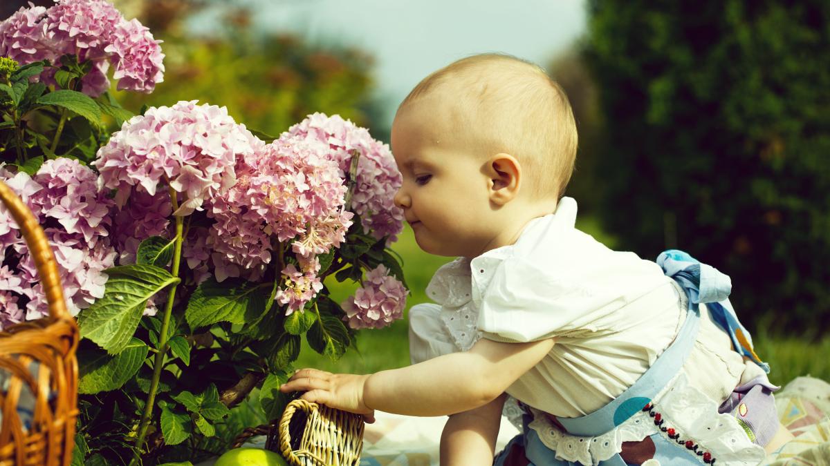 Studiu Care sunt cele mai frecvente nume în rândul miliardarilor Cercetarea a analizat cele mai mari 500 de averi la nivel global