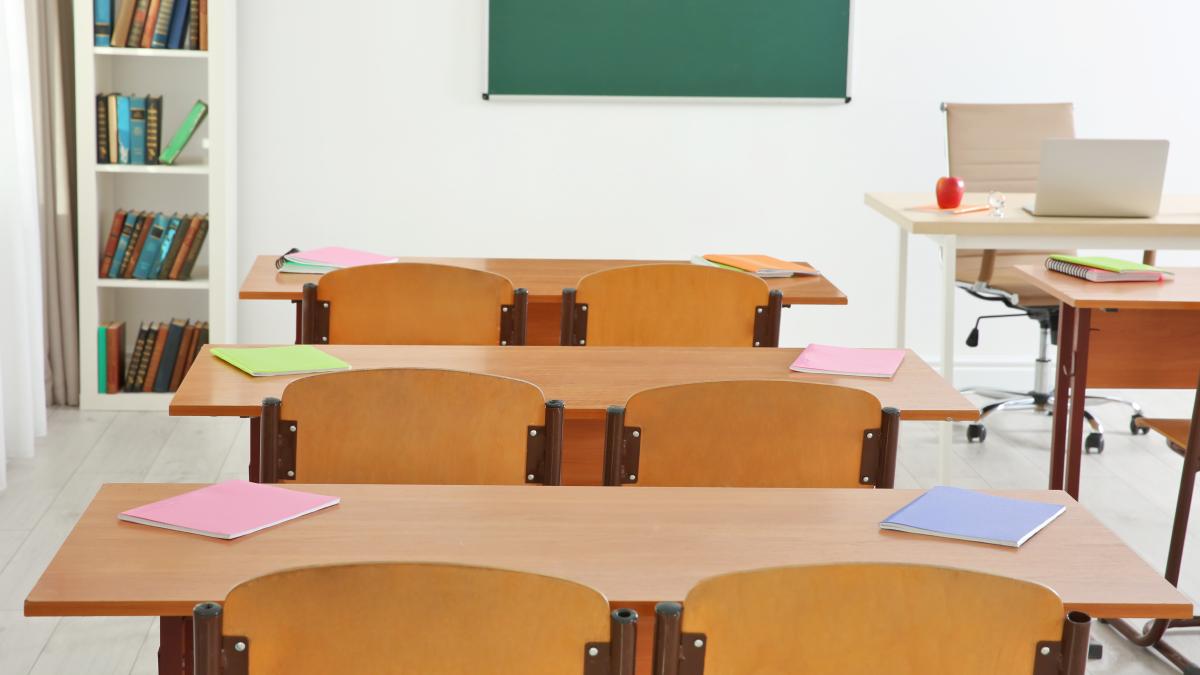 Lavinia Stan „Asta trebuie să fie ca meserie și repede, în toate școlile!”  VIDEO