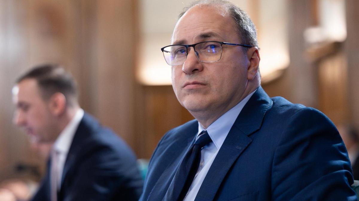 mihai-dimian-la-guvern