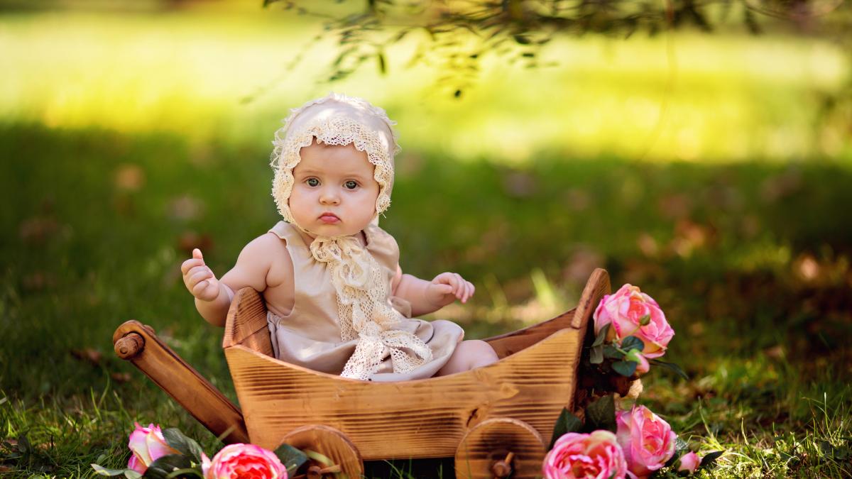 bebeluș în căruț