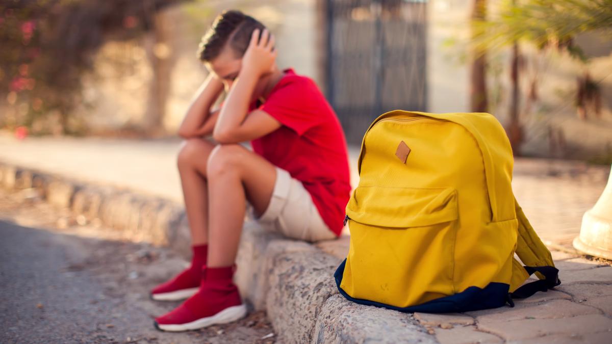 Radu Leca explică legătura dintre învățarea online și retragerea emoțională „Abandonul școlar nu începe în catalog, începe în inimă”