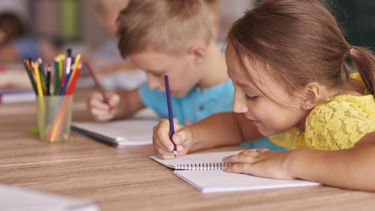 Evaluare Națională clasa a II-a 2026. Modele de subiecte la Limbă și comunicare, citit și scris, și MEM, conform Ministerului Educației