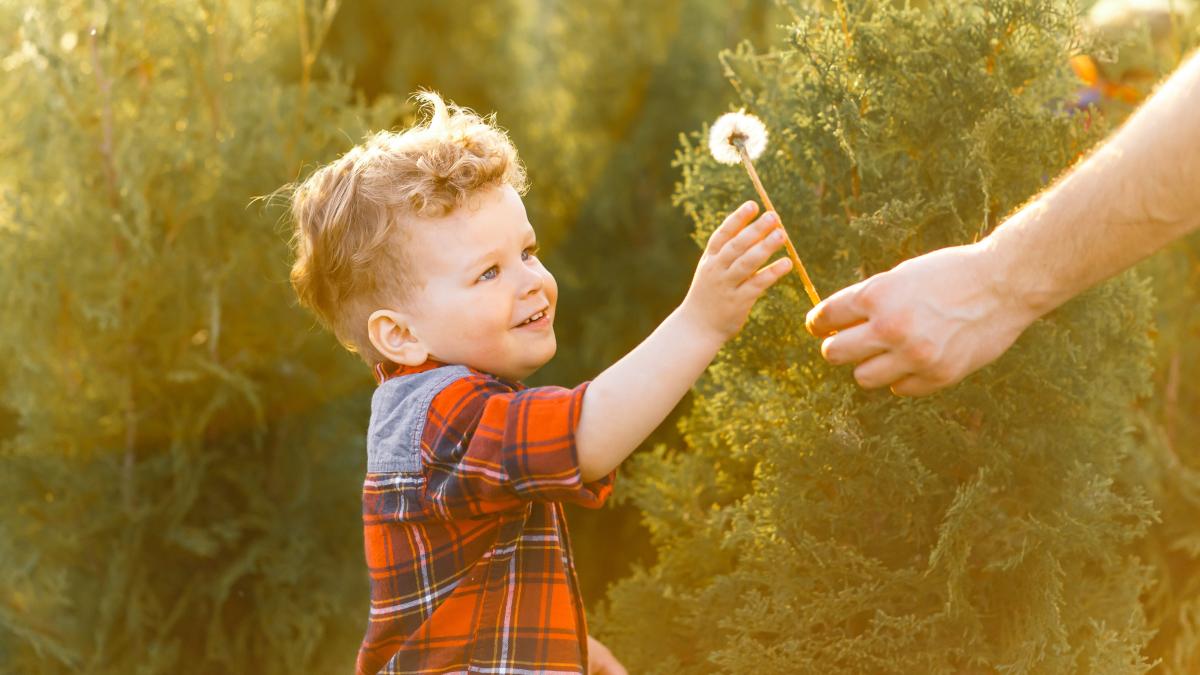 Cum îți ajuți copilul să se iubească pe sine și să aibă încredere în el 7 recomandări care îi susțin dezvoltarea emoțională