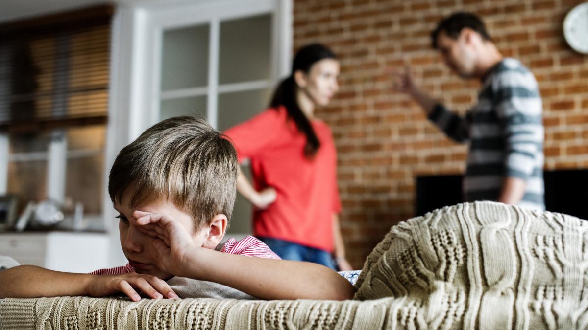 Radu Leca prezintă metodele de alienare parentală ale „făptașilor” Un scut frecvent este formularea „fac totul pentru siguranța lui”