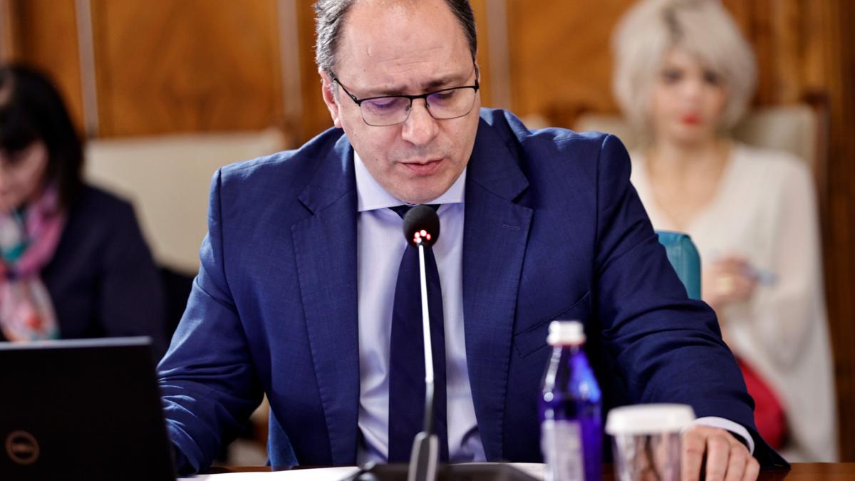 mihai-dimian-la-sedinta-de-guvern