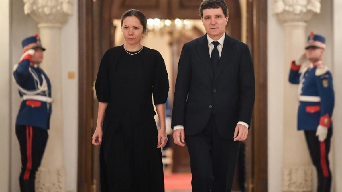 mirabela gradinaru si nicusor dan
